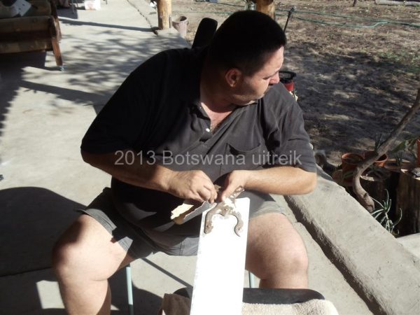 Seronga werk (14)