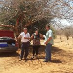 2015 Marikodraai se tentkerk